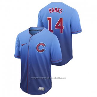 Maglia Baseball Uomo Chicago Cubs Ernie Banks Fade Autentico Blu