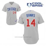 Maglia Baseball Uomo Chicago Cubs 14 Ernie Banks Grigio Cool Base