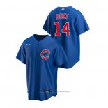 Maglia Baseball Uomo Chicago Cubs Ernie Banks Replica Alternato Blu