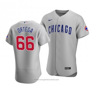 Maglia Baseball Uomo Chicago Cubs Rafael Ortega Autentico Road Grigio