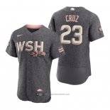 Maglia Baseball Uomo Washington Nationals Nelson Cruz 2022 City Connect Autentico Grigio