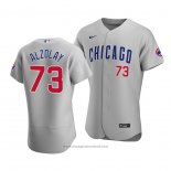 Maglia Baseball Uomo Chicago Cubs Adbert Alzolay Autentico Road Grigio