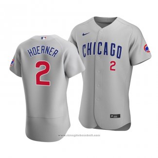 Maglia Baseball Uomo Chicago Cubs Nico Hoerner Autentico Road Grigio