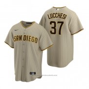 Maglia Baseball Uomo San Diego Padres Joey Lucchesi Replica Alternato Marrone