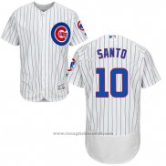 Maglia Baseball Uomo Chicago Cubs 10 Ron Santo Autentico Collection Bianco Flex Base