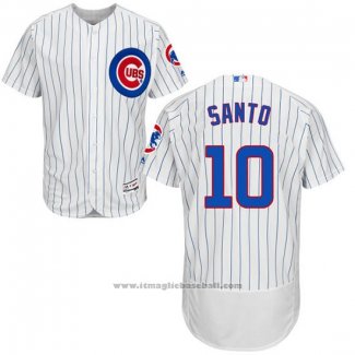 Maglia Baseball Uomo Chicago Cubs 10 Ron Santo Autentico Collection Bianco Flex Base