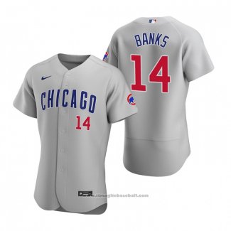 Maglia Baseball Uomo Chicago Cubs Ernie Banks Autentico 2020 Road Grigio