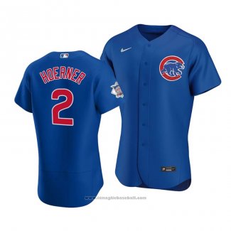 Maglia Baseball Uomo Chicago Cubs Nico Hoerner Autentico Alternato Blu