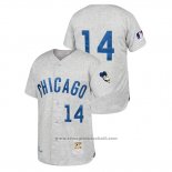 Maglia Baseball Uomo Chicago Cubs Ernie Banks Cooperstown Collection 1969 Autentico Away Grigio