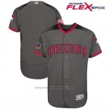 Maglia Baseball Uomo Arizona Diamondbacks 2017 Stelle e Strisce Grigio Flex Base